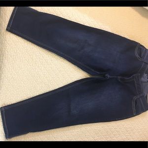Lane Bryant Jeans